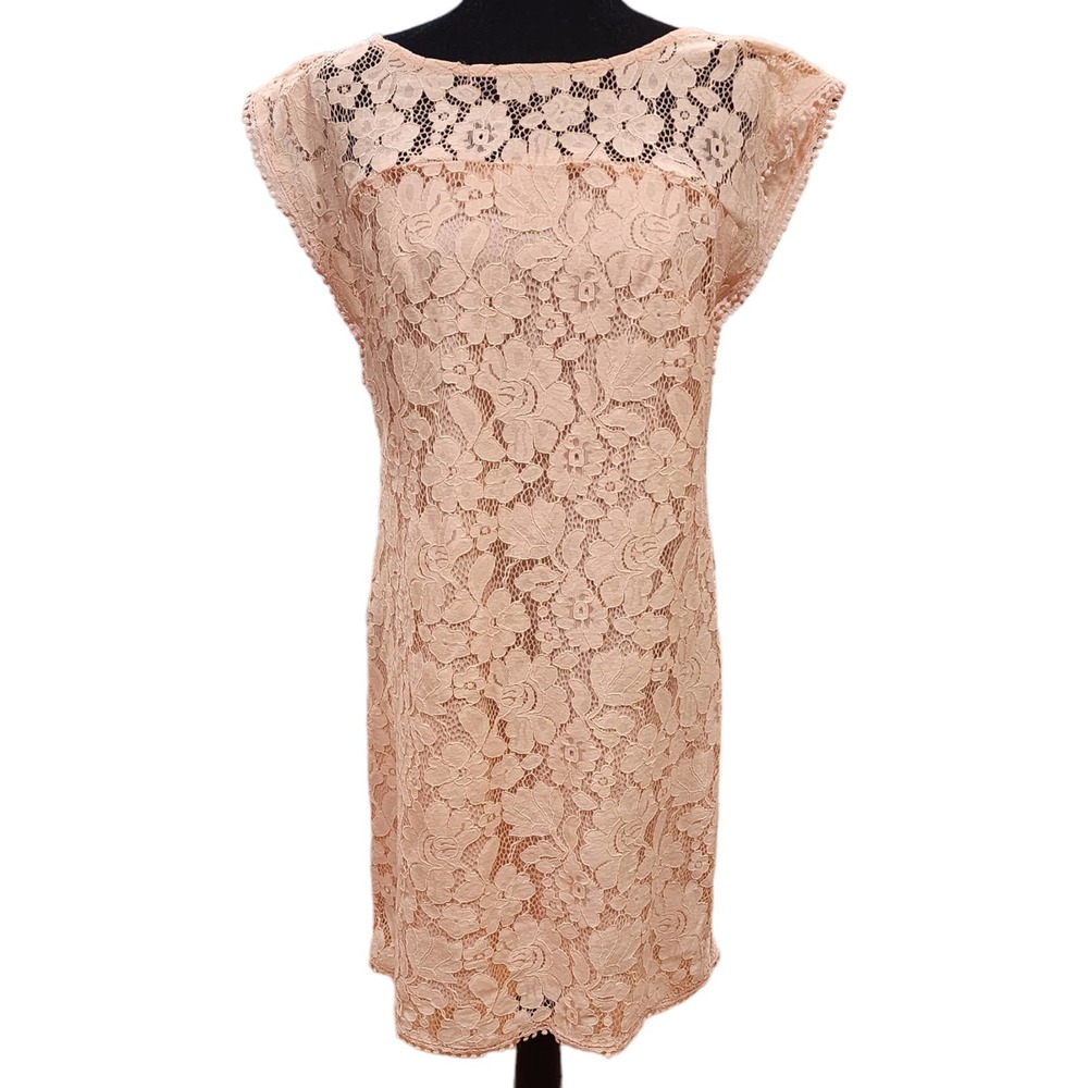 Lace Shift Dress in Blush Pink